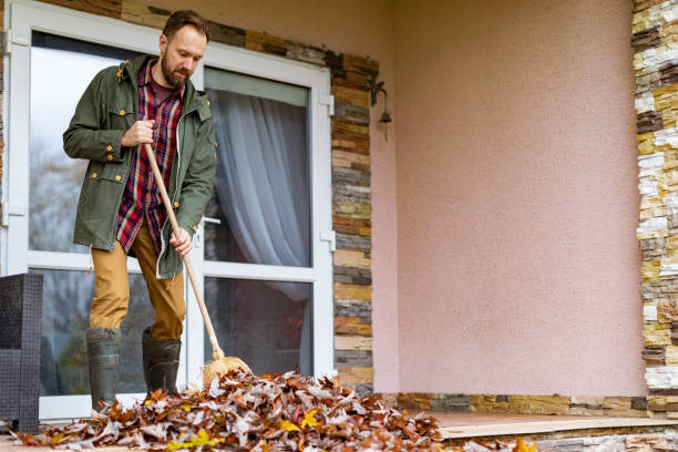 Best Electronics Removal Services  in Iron River, MI