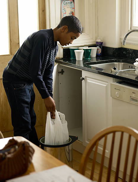 Professional Junk Removal in Iron River, MI